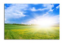 Obraz Slnečné svetlo zs24830